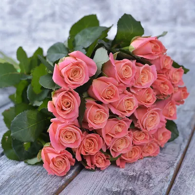 Букет из 41 розы спрей Ванесса 🌺 купить в Киеве с доставкой - цена от  Камелия