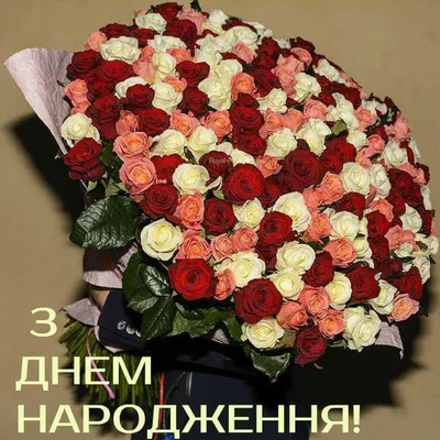 Pin by Наталия Сушко on 1111 | Beautiful rose flowers, Beautiful roses,  Beautiful flowers