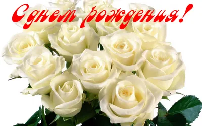 Кремовые розы с Днем Рождения с доставкой в Санкт-Петерубрге