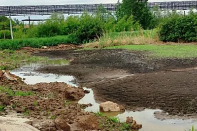 Загрязнение почвы обошлось почти в миллион- Яррег - новости Ярославской  области
