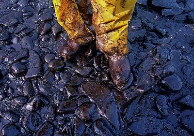 Загрязнение Почвы Нефтепродуктами: последние новости на сегодня, самые  свежие сведения | ufa1.ru - новости Уфы