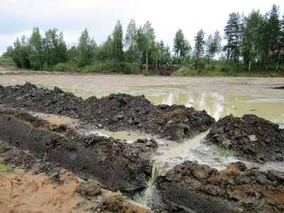 Топливную компанию обязали выплатить 14 млн рублей за загрязнение почвы под  Азовом