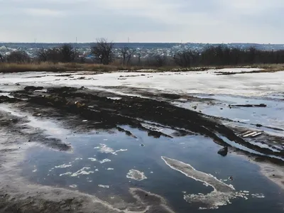Размер ущерба от загрязнения почвы нефтеотходами в Кстовском районе  превысил 1,9 млн рублей Новости Нижнего Новгорода