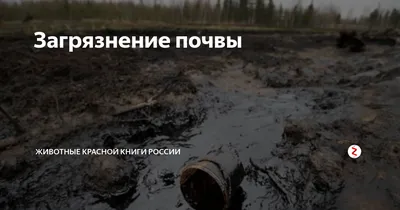 На берегу Белой в Уфе выявлено загрязнение почвы нефтепродуктами — УГЗ -  Новости - Уфа - UTV