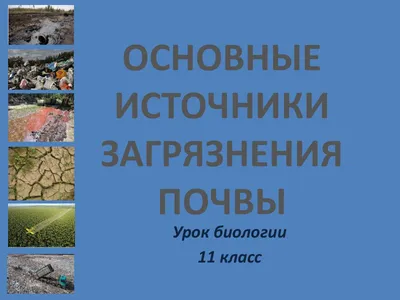 Загрязнение почвы под Астраханью обойдётся нефтедобытчику-нелегалу в 840  тысяч рублей