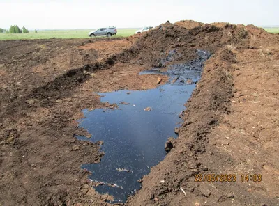Росприроднадзор | Размер ущерба от загрязнения почвы нефтеотходами в  Кстовском районе Нижегородской области превысил 1,9 млн рублей