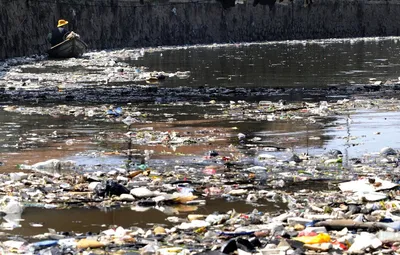 Грязная И Загрязненная Природа — стоковые фотографии и другие картинки  Загрязнение окружающей среды - Загрязнение окружающей среды, Отходы, Река -  iStock