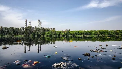 Селен снижает вред для здоровья от загрязненной окружающей среды -  EcoPravda.ru
