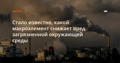 В России поставлен рекорд по загрязнению воздуха за 16 лет — РБК