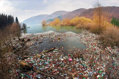 Бедствие природы, безжизненная земля с загрязненной водой Стоковое Фото -  изображение насчитывающей промышленно, бочонков: 131286638