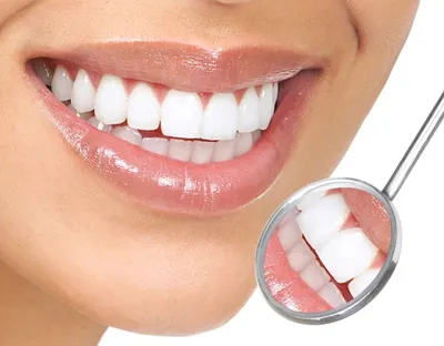 здоровые зубы стоковое фото. изображение насчитывающей женщина - 15882098
