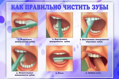 День корневого канала: как питаться так, чтобы иметь здоровые зубы |  GreenPost