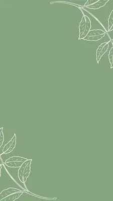 Atrovirens темно-зеленый фон для фотосъемки однотонный Чистый Простой фон  для игры потоковая съемка портретный баннер Zoom плакат | AliExpress