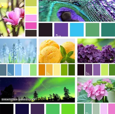 Зеленый цвет - красивые картинки (100 фото) • Прикольные картинки KLike.net