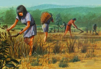 Ученые считают, что земледелие возникло более 20 тысяч лет назад - АЗЕРТАДЖ