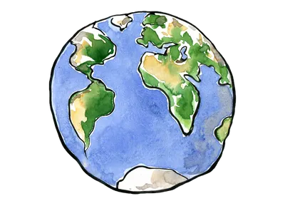 Настоящая карта Земли | Лесная сказка | Дзен