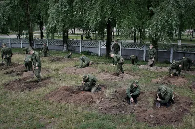 Картинки жду сына из армии фотографии