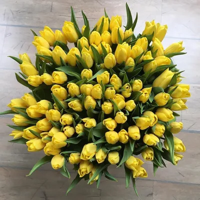 Купить Желтые тюльпаны в Москве, заказать Желтые тюльпаны - недорогая  доставка цветов из интернет магазина!