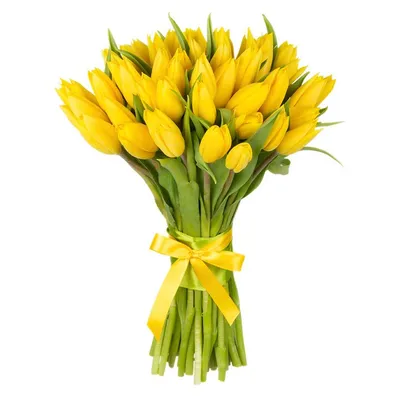 Тюльпаны желтые — Цветы с доставкой