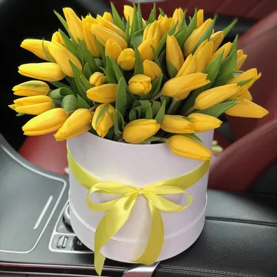 Желтые тюльпаны, цветы в интерьере, белая кухня, | Tulips garden, Tulips,  Flowers