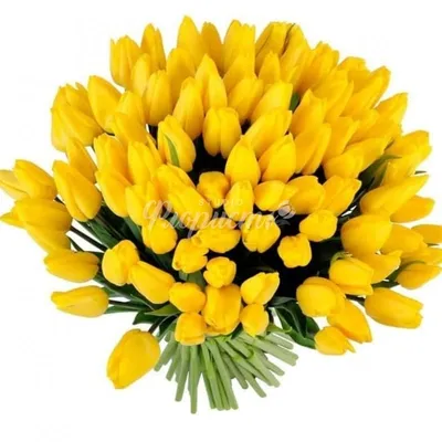 51 желтый тюльпан в коробке за 11 590 руб. | Бесплатная доставка цветов по  Москве