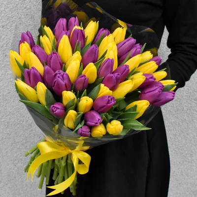 Фотография Желтый тюльпан Цветы Много белым фоном