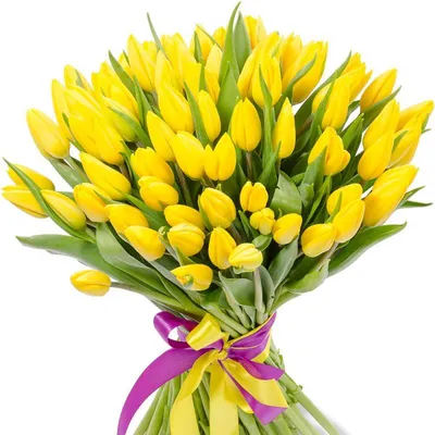 Желтые тюльпаны ‒ вестники… весны и счастья! Агроном из Хакасии - о том,  как вырастить особенные цветы