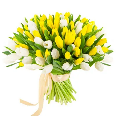 Букет из 41 желтых тюльпанов. Купить цветы.