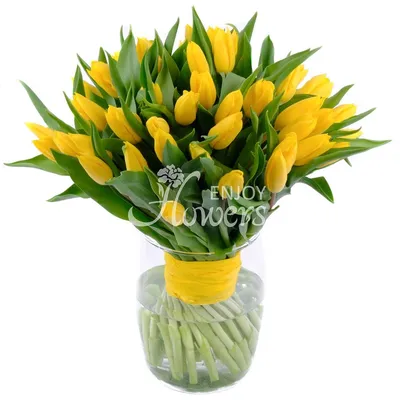 Желтые тюльпаны на фоне бежевой. Красивые цветы Springyellow Стоковое Фото  - изображение насчитывающей пасха, лепесток: 209620438