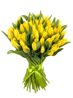Букет \"Желтые тюльпаны\" с доставкой в Шахунье — Фло-Алло.Ру, свежие цветы с  бесплатной доставкой