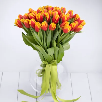 yellow tulip flower, желтый тюльпан, желтые тюльпаны фото на рабочий стол,  цветы, tulip, желтый, Свадебное агентство Москва