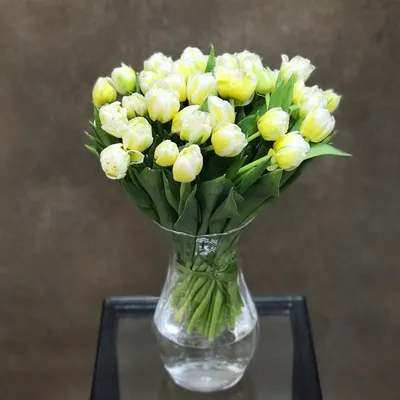 Тюльпан Желтые Тюльпаны Цветы - Бесплатное фото на Pixabay - Pixabay