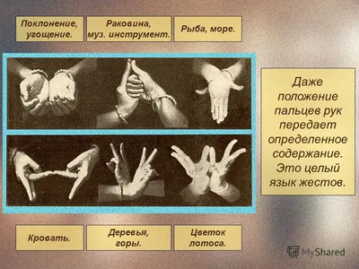 Язык жестов и мимика: 13 ключей для манипуляций и влияния (Светлана Кузина)  - купить книгу с доставкой в интернет-магазине «Читай-город». ISBN:  978-5-17-157208-2