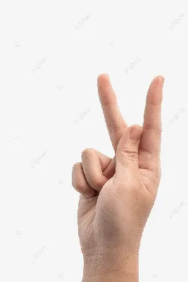 Язык жестов, жесты, рука, интерфейс, плоский значок цвета Шаблон знамени  значка вектора Иллюстрация вектора - иллюстрации насчитывающей перст,  ладонь: 148610149