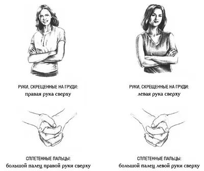 Язык жестов: особенности, слова и фразы - 7Дней.ру