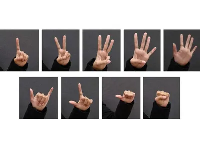 Жесты рук (силуэты рук) в векторных форматах — Abali.ru