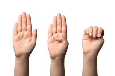 Новый алгоритм помогает компьютеру точнее распознавать жесты рук