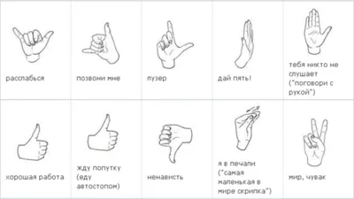 Различные жесты рук иллюстрация вектора. иллюстрации насчитывающей собрание  - 60930324