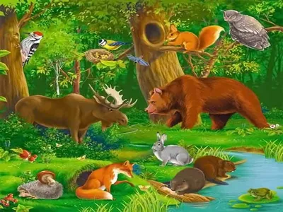 Какие животные живут в лесу?