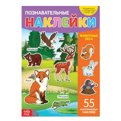 Купить Животные леса № 35 в Минске в Беларуси в интернет-магазине OKi.by с  бесплатной доставкой или самовывозом
