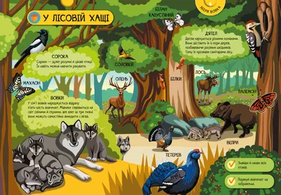Дикие животные в лесу. | Премиум векторы