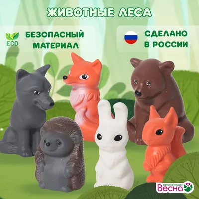 Дикие, но симпатичные: какие животные обитают в московских лесах – Москва  24, 29.11.2017