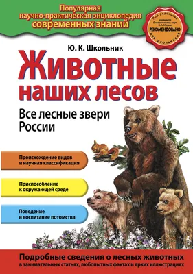 Купить Животные леса № 34 в Минске в Беларуси в интернет-магазине OKi.by с  бесплатной доставкой или самовывозом