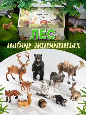 Животные лесов России - красивые фото