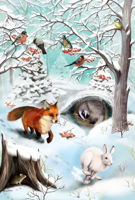 Чем подкармливать диких животных зимой? - Парк природи Беремицьке