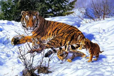 40 очаровательных животных в снегу — Крылья, лапы, хвост. (Виктор Козлов) —  NewsLand