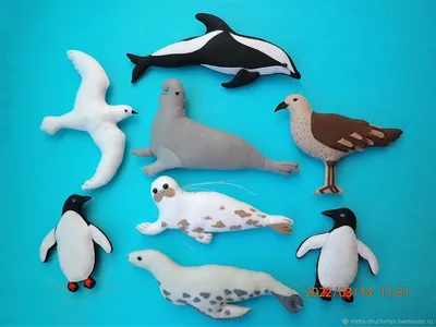 Животные Антарктиды Для Детей АУДИОСКАЗКА - YouTube