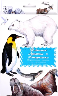 Опасные Животные В Антарктиде » Интересные факты: самое невероятное и  любопытное в мире