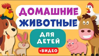 Баранова Н. Н.: Удивительный мир животных. Энциклопедия для детей: купить  книгу в Алматы | Интернет-магазин Meloman