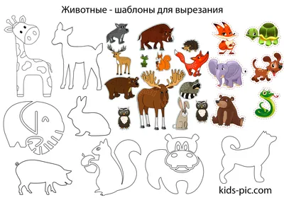 Рабочий блокнот №1 для детей 2-5 лет Питомцы и домашние животные. Пиши и  стирай (+ маркер), автор Юлия Фишер - в интернет-магазине Крокоша в  Санкт-Петербурге | Крокоша. Быстрая доставка по России